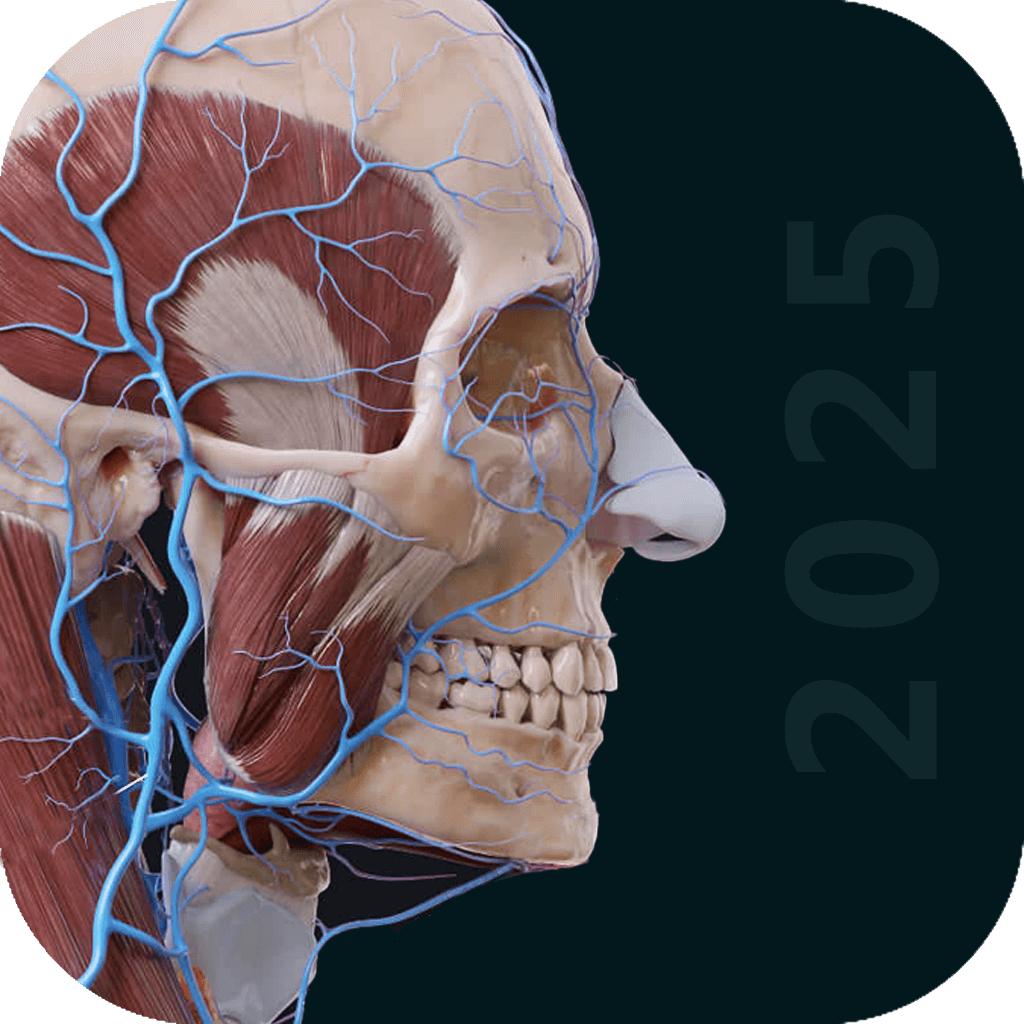 3D Anatomy Atlas App Icon